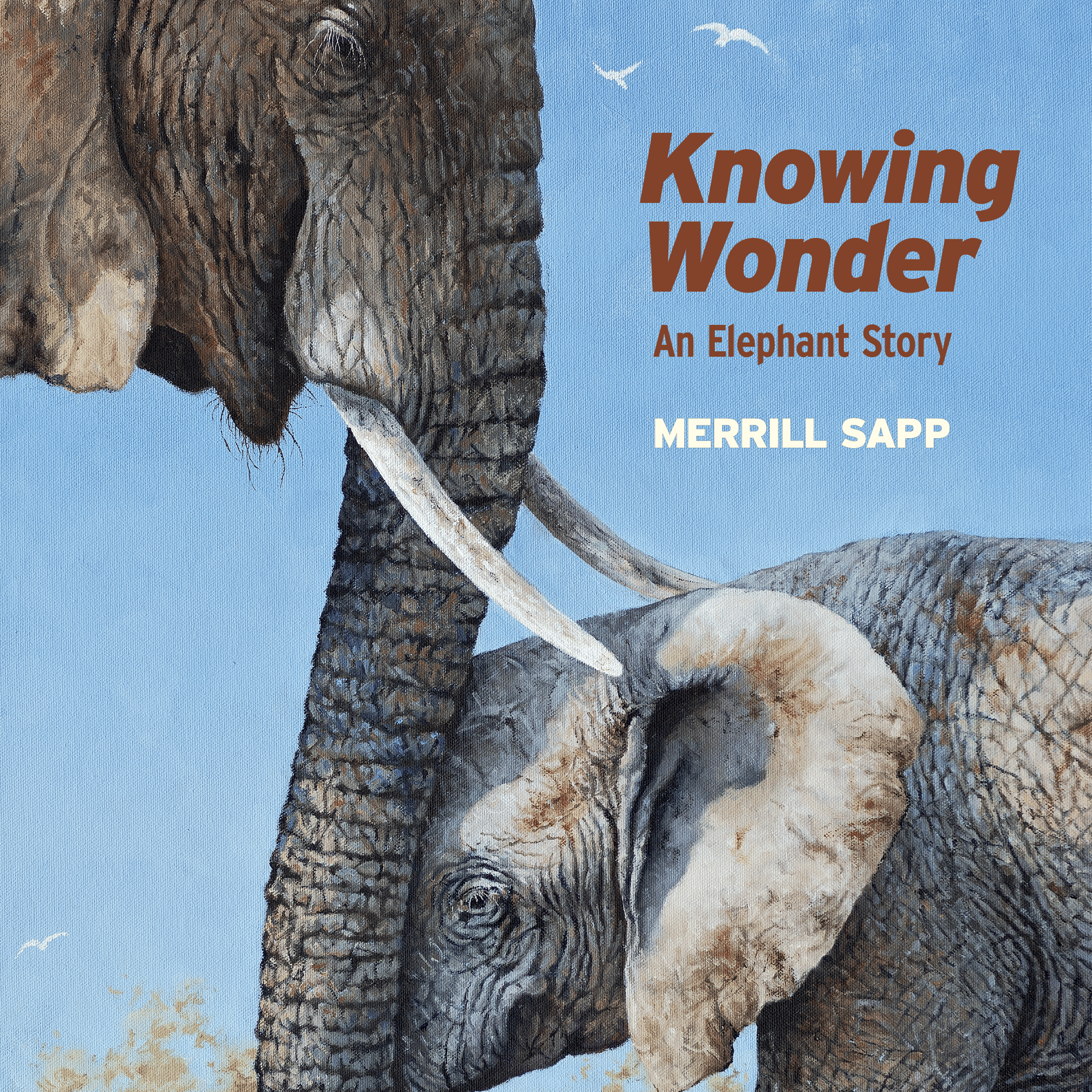 Knowing Wonder: An Elephant Story